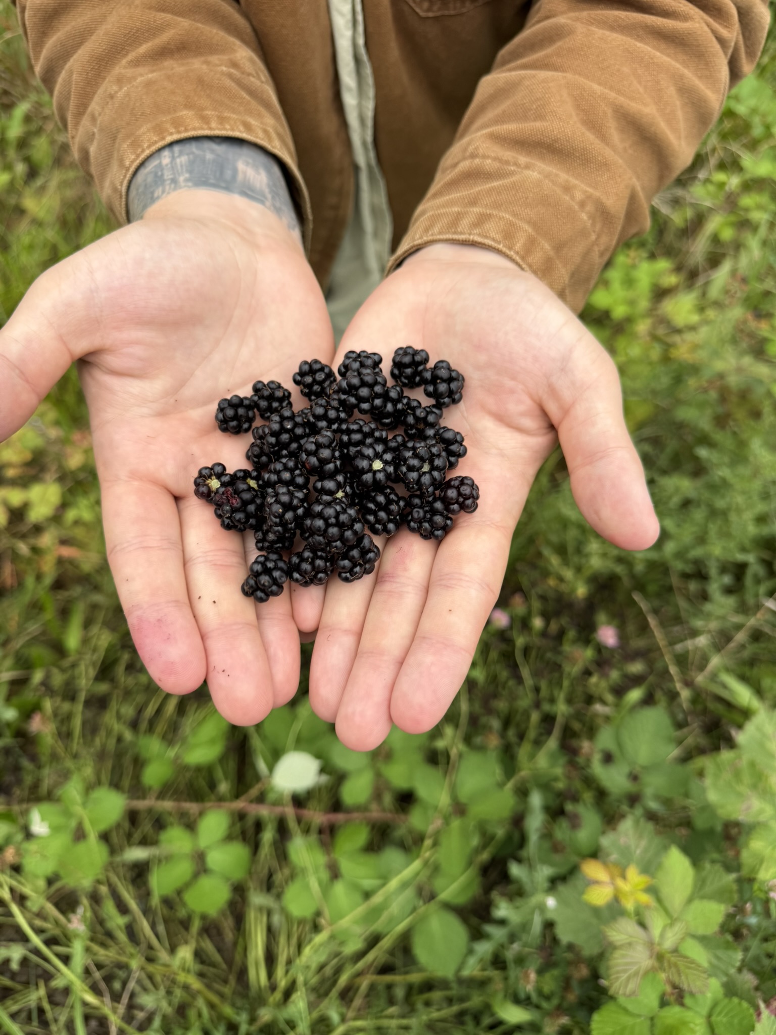 From City Life to Garden Oasis header image